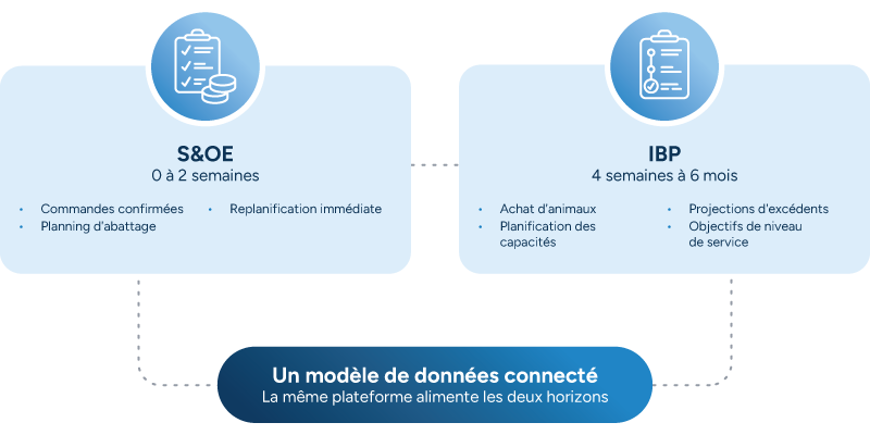 schéma comparant les horizons de planification S&OE à court terme et IBP à plus long terme au sein d’un même modèle de données connecté.