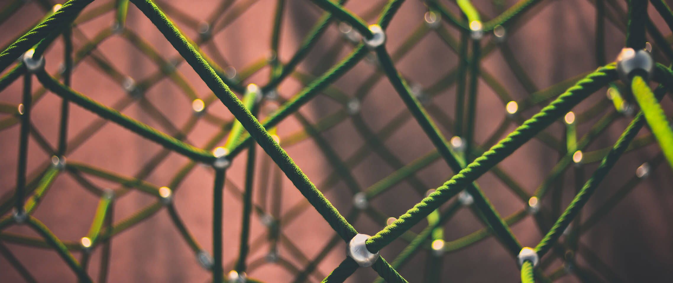 How To Benefit From Ai In Retail Optimization Relex Solutions How To Benefit From Ai In Retail Optimization Relex Solutions