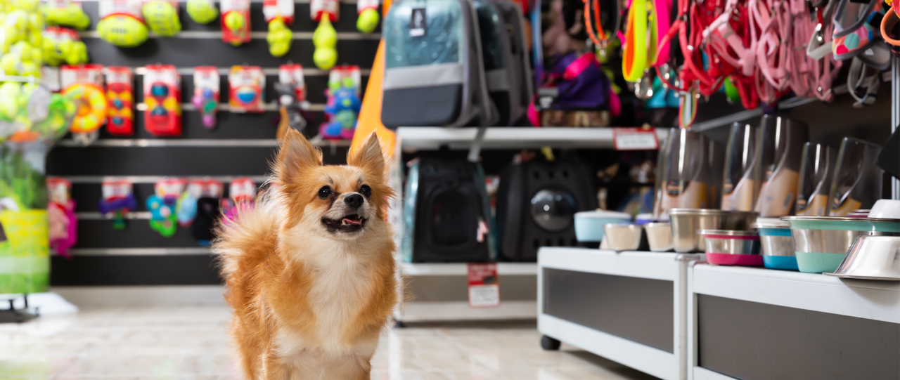 Five challenges in pet supply retail and how to tame them RELEX Solutions