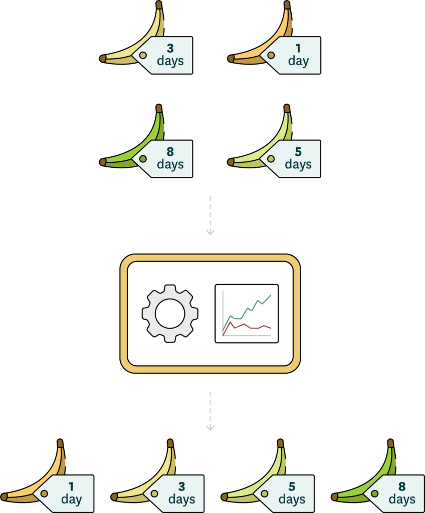 Bananas being sorted through smart planning software from soonest-to-expire to latest-to-expire, despite each batch being delivered at different times and with different expiration dates. 
