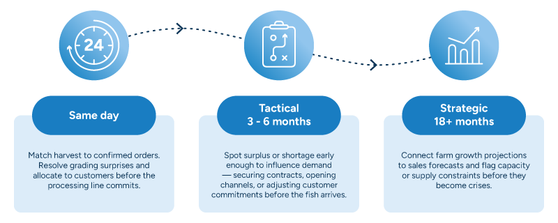 A diagram showing three connected planning horizons in fish supply chain management, linked by a dashed arrow flowing left to right. Same-day: match harvest to confirmed orders, resolve grading surprises, and allocate to customers before the processing line commits. Tactical (3–6 months): spot surplus or shortage early enough to influence demand — securing contracts, opening channels, or adjusting customer commitments before the fish arrives. Strategic (18+ months): connect farm growth projections to sales forecasts and flag capacity or supply constraints before they become crises.