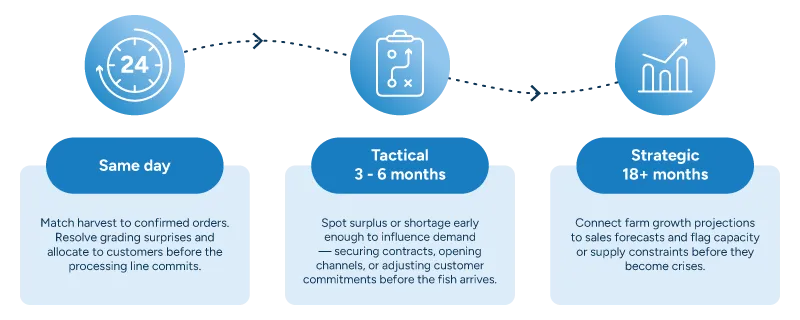 A diagram showing three connected planning horizons in fish supply chain management, linked by a dashed arrow flowing left to right. Same-day: match harvest to confirmed orders, resolve grading surprises, and allocate to customers before the processing line commits. Tactical (3–6 months): spot surplus or shortage early enough to influence demand — securing contracts, opening channels, or adjusting customer commitments before the fish arrives. Strategic (18+ months): connect farm growth projections to sales forecasts and flag capacity or supply constraints before they become crises.