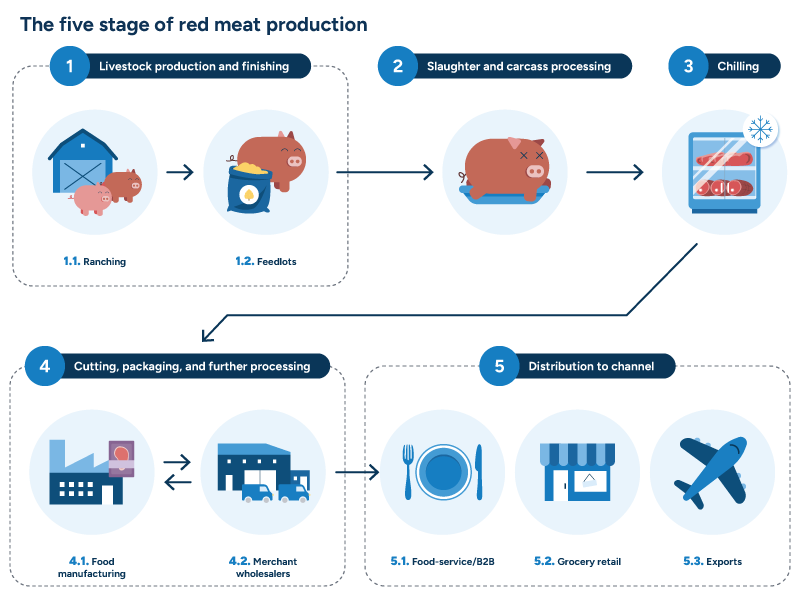 A diagram outlining the five stages of red meat production, from livestock finishing to distribution.