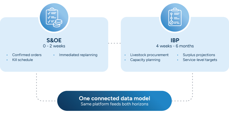A diagram comparing short-term S&OE and longer-term IBP planning horizons within one connected data model.