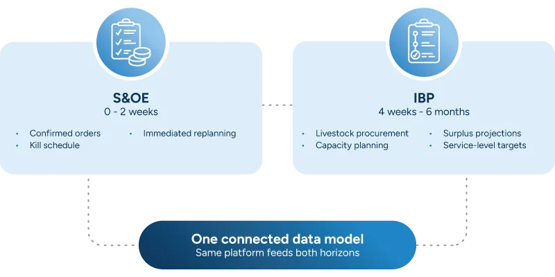 A diagram comparing short-term S&OE and longer-term IBP planning horizons within one connected data model.
